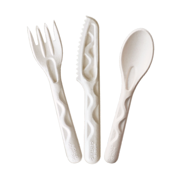 Bagasse Spoon - 500pcs